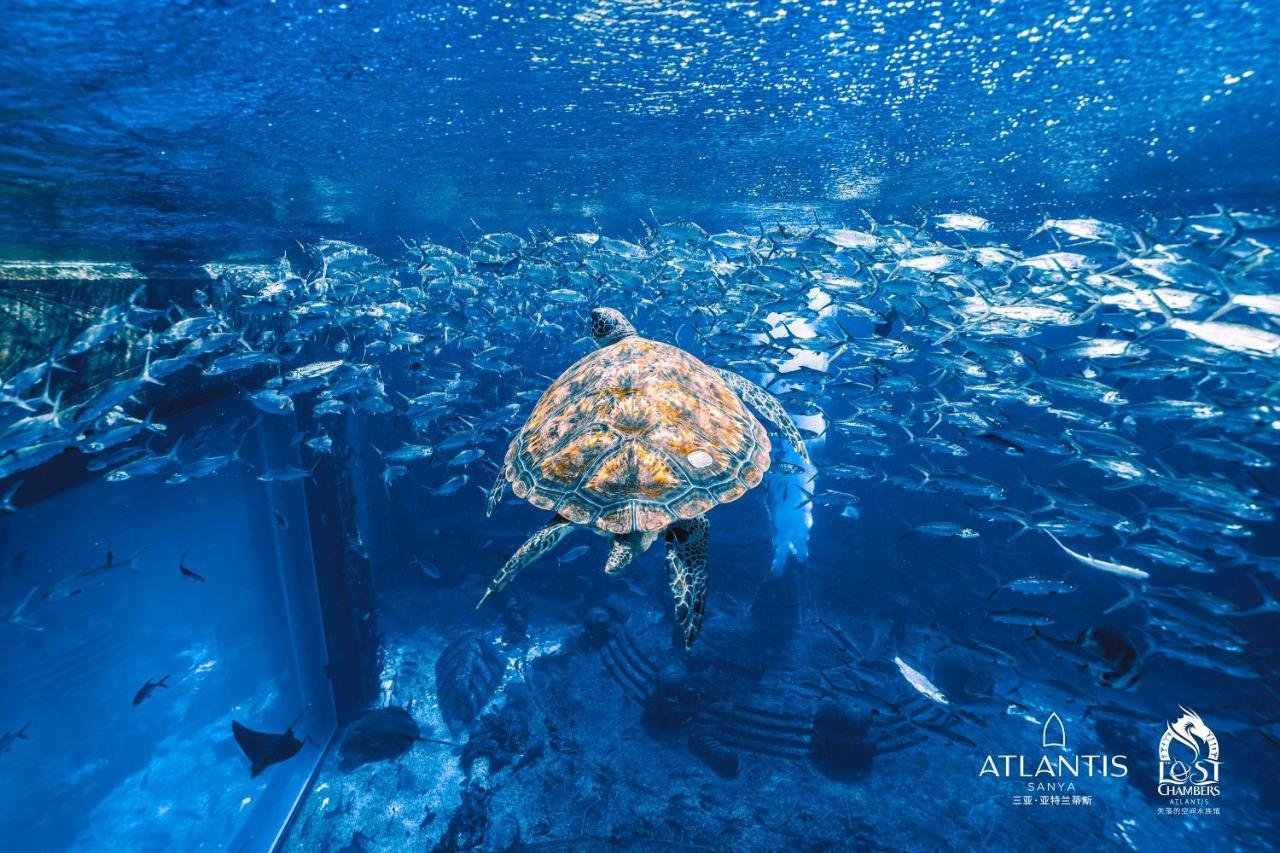 Atlantis Sanya Hotell Eksteriør bilde